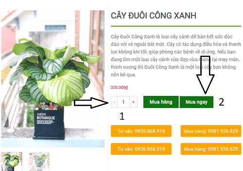 mua hang indoor garden