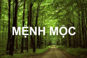 menh moc nen kinh doanh gi