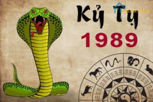 sinh-nam-1989-lam-nha-huong-nao-tot