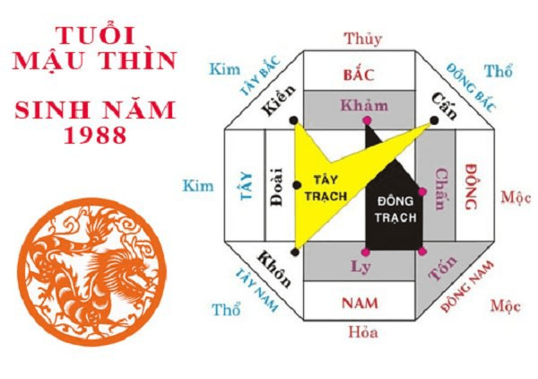 Tuổi Mậu Thìn hợp hướng nào năm 2021