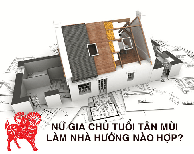 Tuổi Tân Mùi hợp hướng nào để kinh doanh năm 2021