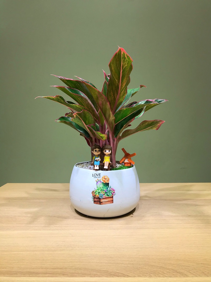 Những vật phẩm phong thủy hút tài lộc cho tuổi tân mùi