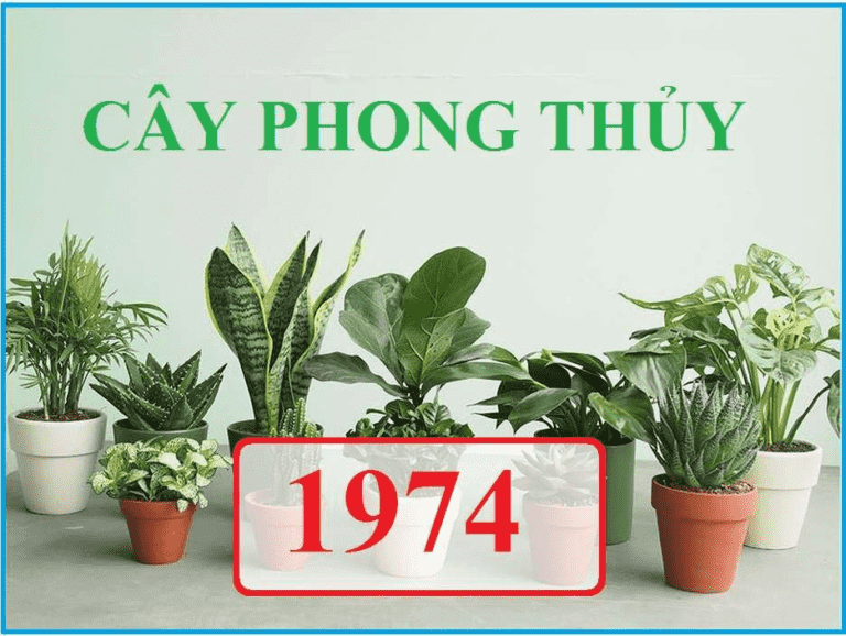 Vật phong thủy để bàn làm việc tuổi Giáp Dần giúp chiêu tài lộc 2021