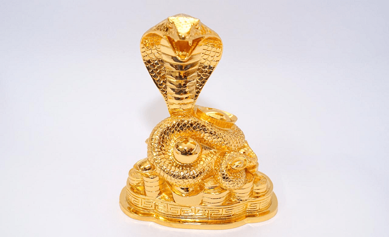 vat-phong-thuy-de-ban-lam-viec-tuoi-ky-ty