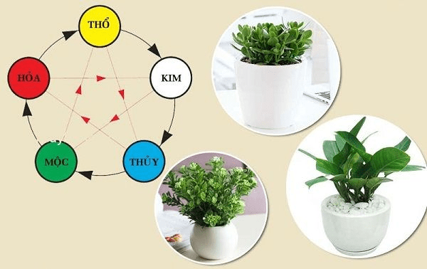 vật phong thủy để bàn làm việc tuổi Đinh Mão