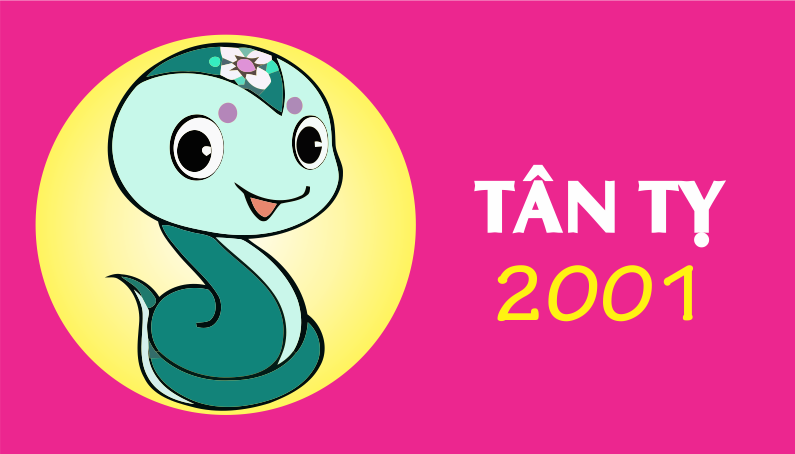 Người sinh năm 2001 mệnh gì hợp màu gì