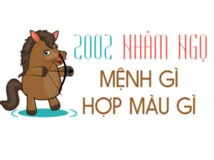 tuoi 2002 menh gi hop tuoi nao