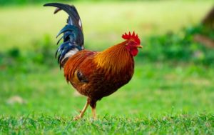 Người sinh năm 2005 hợp màu gì nhất