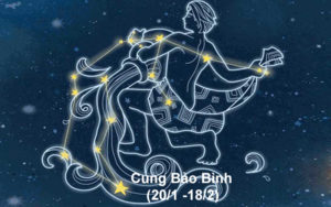 cung bao binh hop voi cung nao nhat