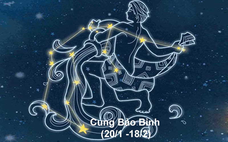 cung bao binh hop voi cung nao nhat