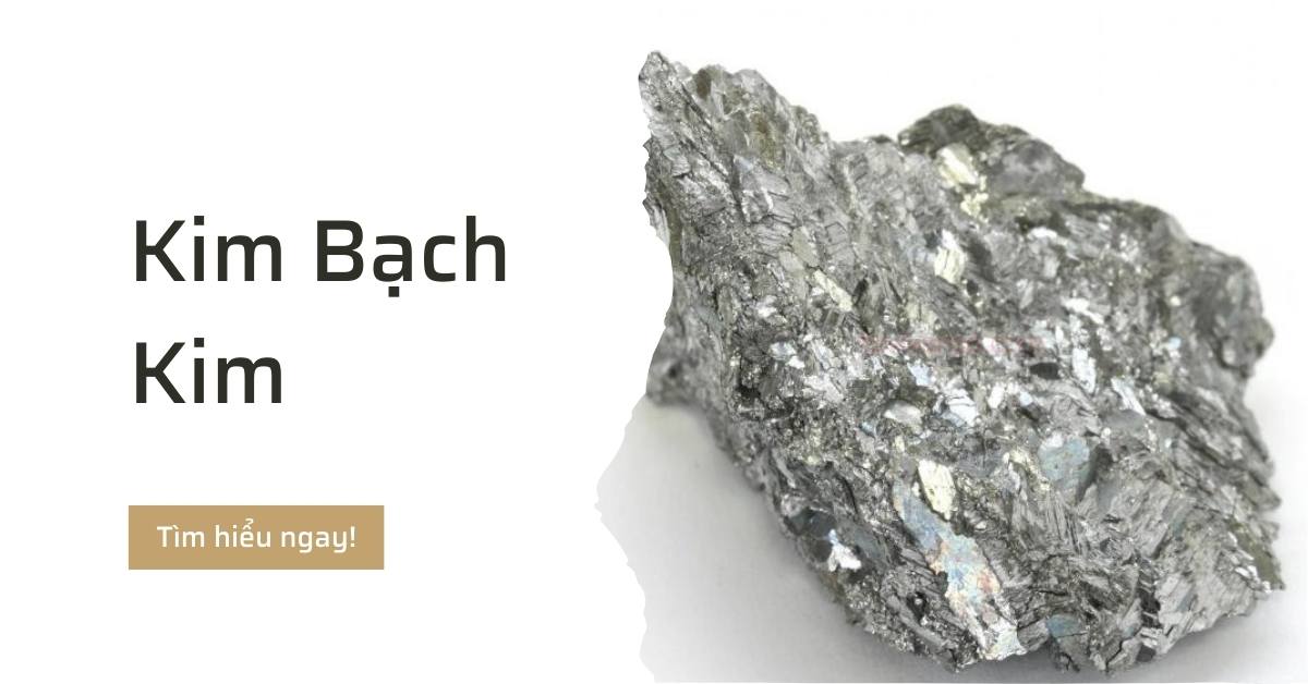 kim bach kim la gi