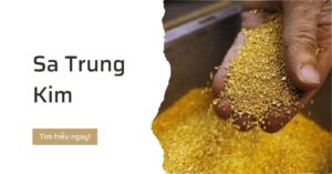 sa trung kim la gi