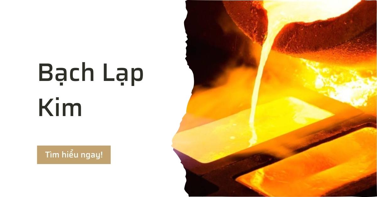 Bạch lạp kim là gì tính cách và vận mệnh