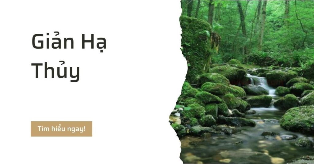 Giản Hạ Thủy là gì? Tìm hiểu tính cách và vận mệnh