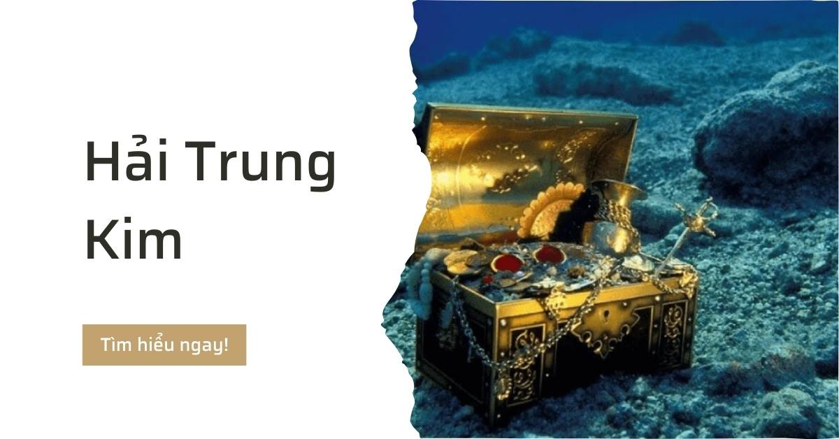 Hải Trung Kim là gì tìm hiểu tính cách và vận mệnh