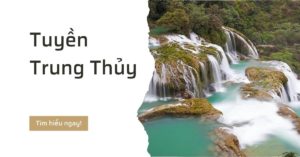 Tuyền trung thủy là gì hợp mệnh nào