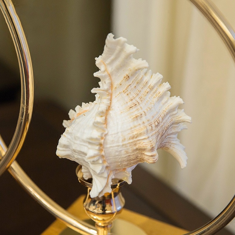 oc xa cu trang tri 4 Decor ốc xà cừ trang trí CD137