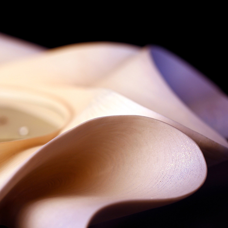 dong-ho-treo-tuong-bong-hoa-2 Đồng Hồ Treo Tường Cánh Hoa