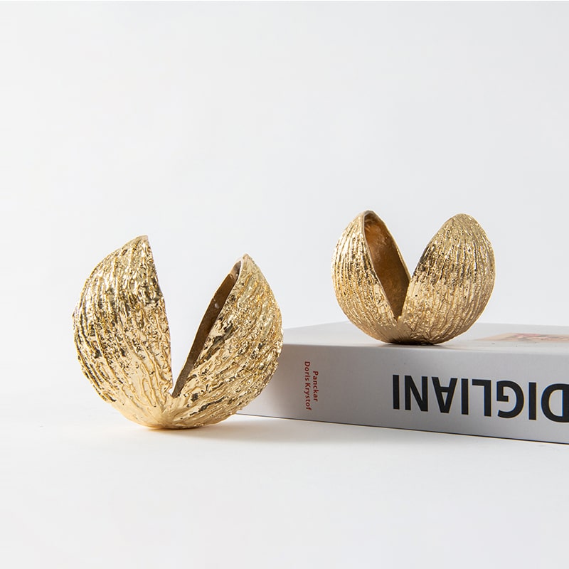 Mô Hình Vỏ Hạt Vàng Độc Đáo