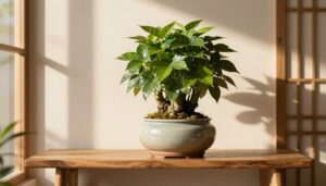 Tang đố mộc là gì — ảnh đại diện bài viết indoorgarden.vn